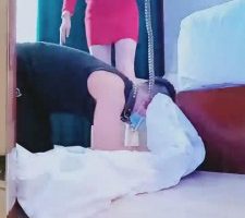 【bibi团】小奶狗首次现实调 bf8558