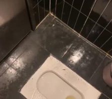 【黎楠】双女主探店寻找素人调成狗 JS220407