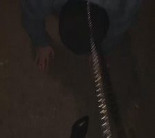 【瑶sama】户外遛狗-浓痰/跪拜/耳光 bf11559