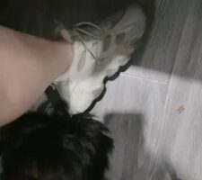 【提莫】开发素人小姐姐tj我 JS2022090302