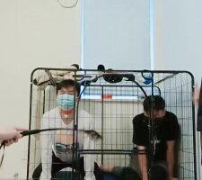 【安静大大】亲母女调两公狗【三视角超完整版】JS22102502