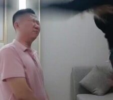 【七颜】耳光sp暴揍小可爱 bf20281