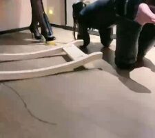 【双子姬】虐待人形犬女奴 bf20520