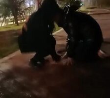 【雨雨大人】深夜路边遛狗 bf21916