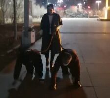 【冷御女王】高贵女王户外溜双狗奴 bf26991