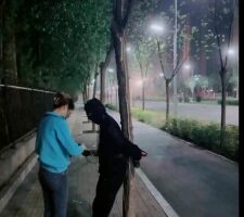 【涵姐】户外吊绑树上虐打狗 bf27151