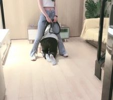 【晚晚】鞭打转胯/裸足深喉专场 bf28022