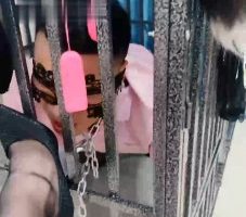 【木子大大】狗笼囚禁犬化家奴 bf33037