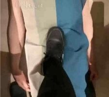 【Zaizz】全体重踩踏地毯狗 JS231225-17