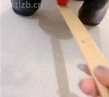 【周舟】全包强制犬化训练 JS240123-11