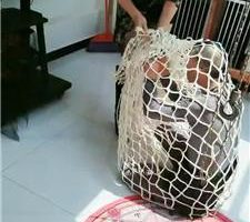 【圈养基地】强制圈养奴剃度【三视角完整版】 JS240802-41