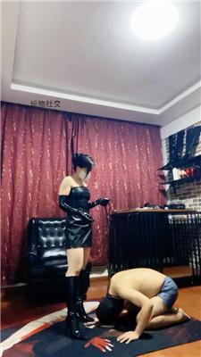 【冷颜】关狗笼/清理长靴/狗链遛狗/脚插嘴/品尝丝袜圣水 JS241128-14