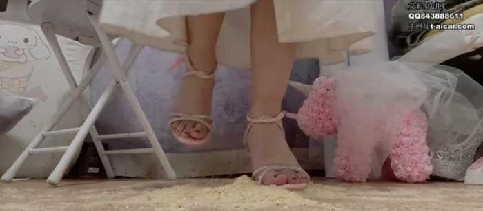 【小薰】狗粮制作系列之饼干（双鞋加长版） YC-241222-3