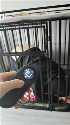 【宝宝大人】囚禁狗笼重度虐打 JS250104-56