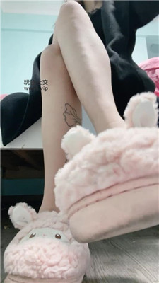 【小凤梨】灯    250119-23