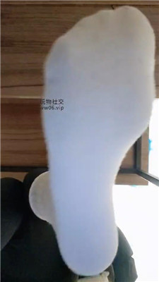 【上海汤圆】灯    250206-31