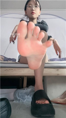 【鹿S】滚进来磕头    250624-25