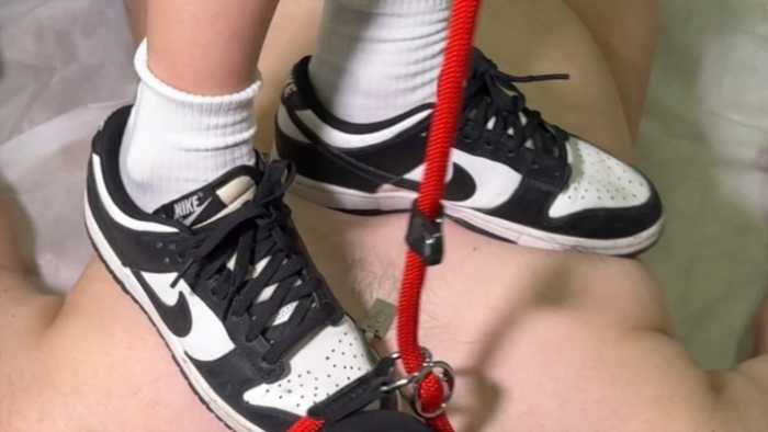 【Lman原创】德训鞋熊猫DUNK双鞋爆舔踩 ACYC-4884