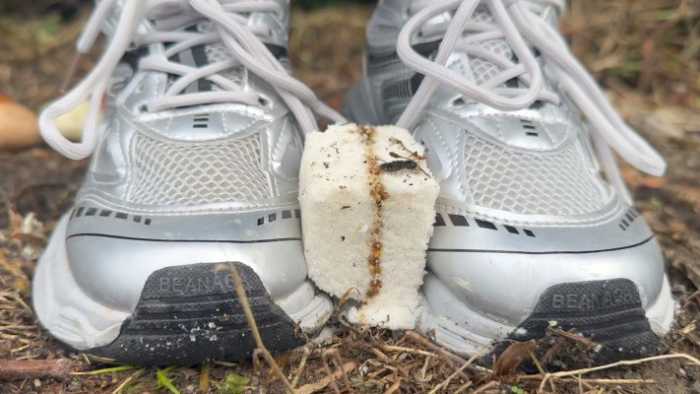 【大美】老爹鞋泥地里面糟蹋狗粮（超脏） YC-250820-2