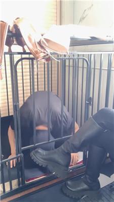 【77夫妻】关狗笼-各种狂舔 JS251007-8