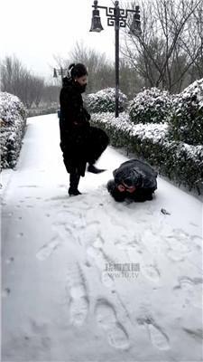 【苏御大人】冰天雪地训野狗 JS260120-3