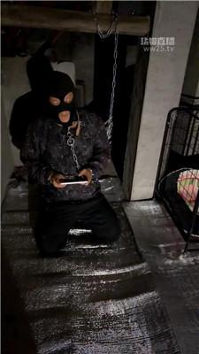 【芝芝女王】户外圈养犬化场 JS260307-56