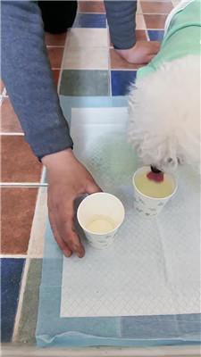 【灵汐】赏赐家奴圣水 JS260408-9