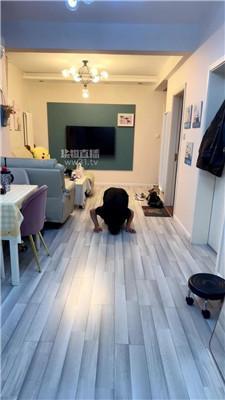 【伊潼】白领S训化下属狗 JS260412-14