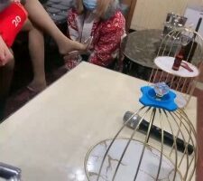 【开发素人】群调-素人闺蜜调母畜【双视角版】 bf22790