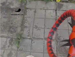 【囡囡】午后带贱狗天台晒太阳  JS23030108