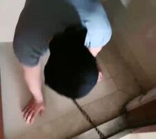 【猫神大人】马术S溜家奴转胯/虐乳闻棉袜 bf27899