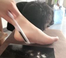 【沅芷大人】刮脚皮让贱狗吃掉 bf28265