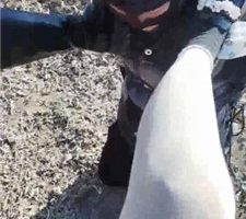 【酒鸽】户外-五花大绑封嘴/长靴踩虐/窒息【双视角版】JS23111220