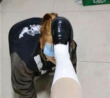 【爱可呀】女慕给校花洗高跟/当坐垫 bf35527