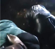 【乐爷】户外遛狗犬化训练 JS240207-5