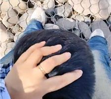 【平凡】户外玩宠物【上下合集】 JS240323-1