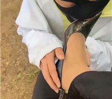 【冰色】户外调-户外舔脏鞋/骑马遛狗/掐乳 JS240512-1