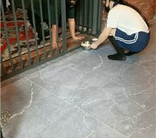 【芊芊】学生S-假期圈养犬化老师【双视角版】 JS240628-1