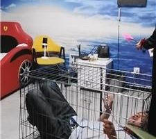 【天韵女皇】双S-圣水淋浴/囚禁狗笼/丝袜塞嘴踩踏【双视角版】JS240713-9