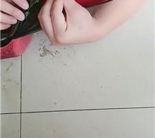 【你的女王】清理泥巴脏鞋/脚下喂食/碾压狗爪 JS240802-35