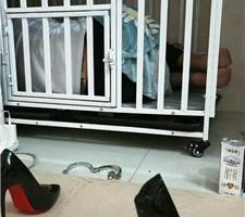 【兰芯大大】囚禁狗笼 JS241002-14