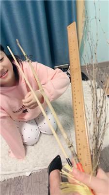 【小凤梨】闺蜜犬磕头求我虐 JS241208-62