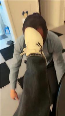 【瑶妈】双S-物化人体擦鞋器【完整版】 bf52147