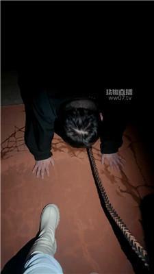 【戚戚】户外遛狗犬化 JS251121-27